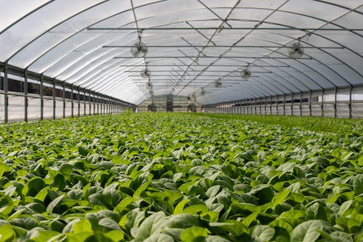 Decoding the Cost of Greenhouse Farming with Cultivatix